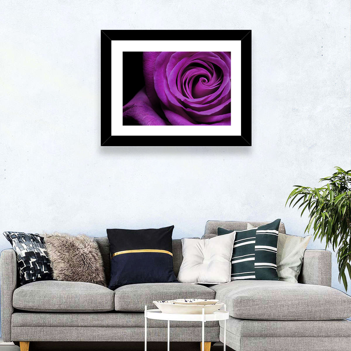 Purple Rose Close-up Wall Art in a room, landscape