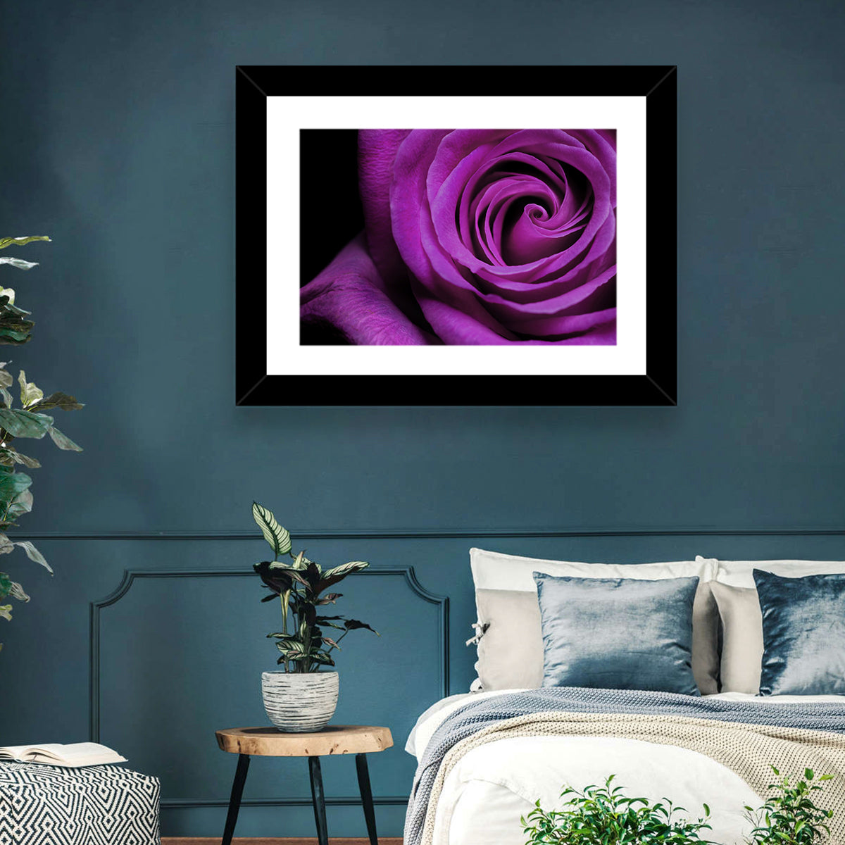 Purple Rose Close-up Wall Art in a room, landscape