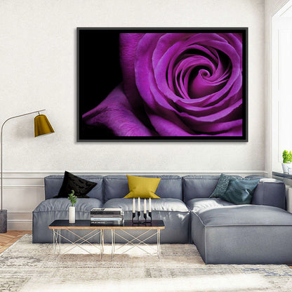 Purple Rose Close-up Wall Art