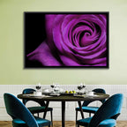 Purple Rose Close-up Wall Art