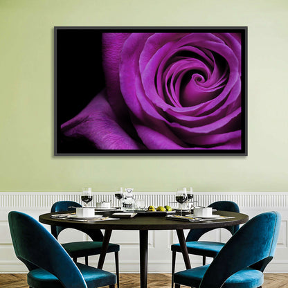 Purple Rose Close-up Wall Art