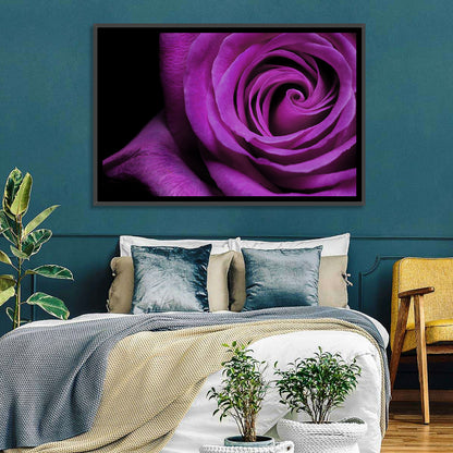 Purple Rose Close-up Wall Art