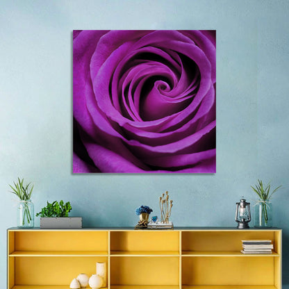 Purple Rose Close-up Wall Art
