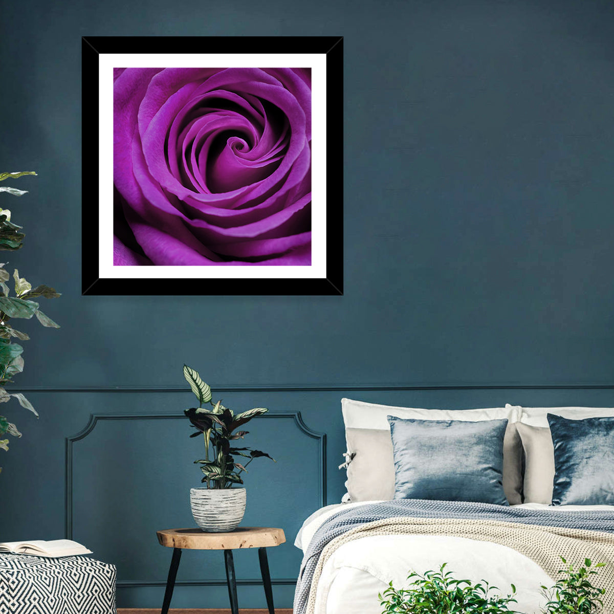 Purple Rose Close-up Wall Art in a room, landscape