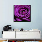 Purple Rose Close-up Wall Art
