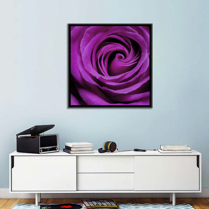 Purple Rose Close-up Wall Art