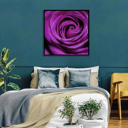 Purple Rose Close-up Wall Art