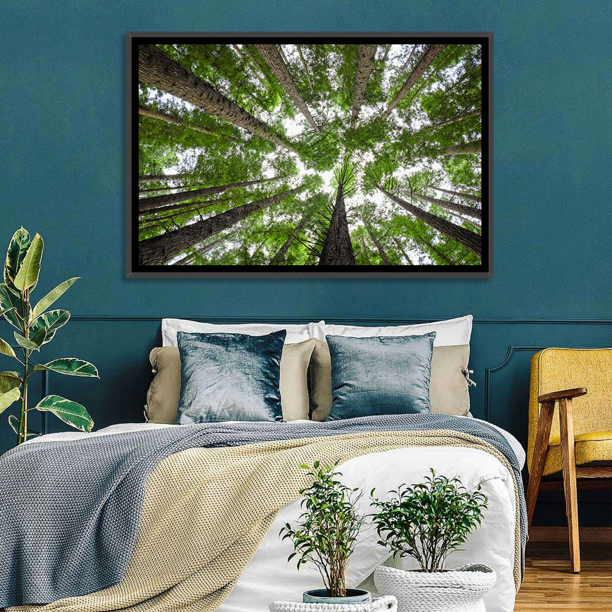 Redwood Forest Canopy Wall Art