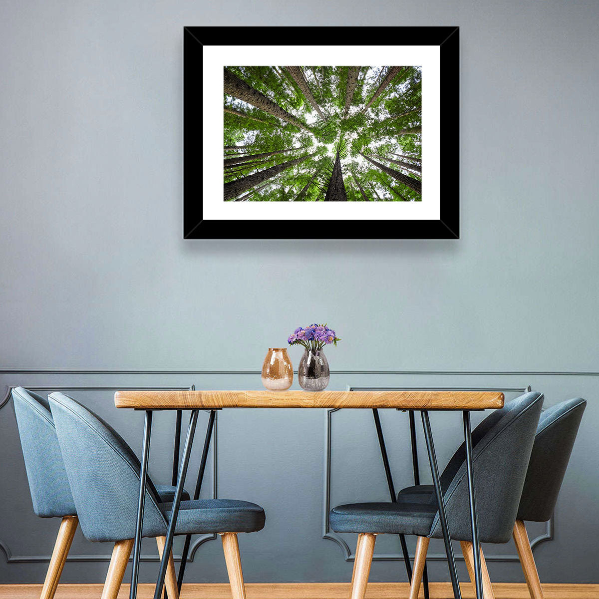 Redwood Forest Canopy Wall Art