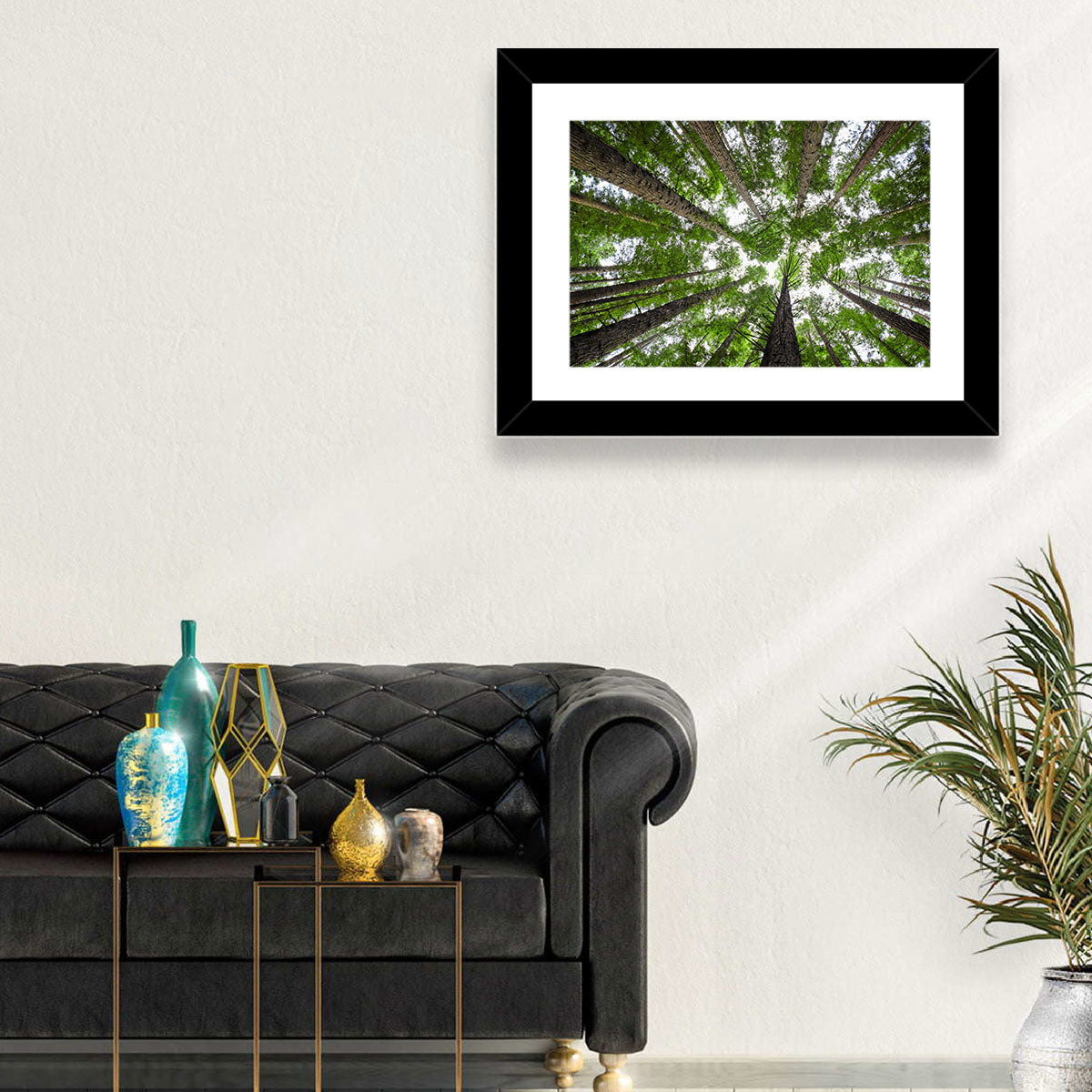 Redwood Forest Canopy Wall Art