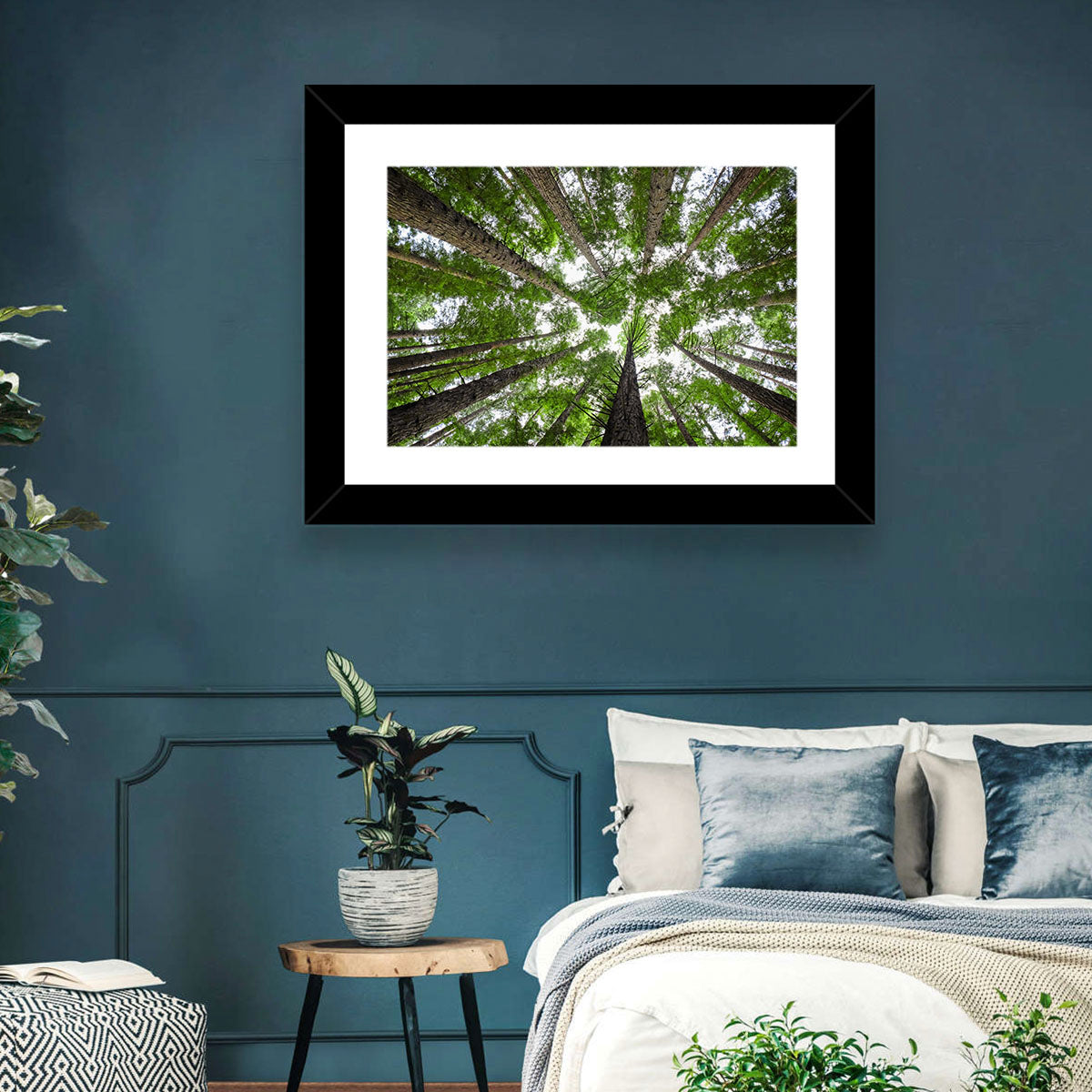 Redwood Forest Canopy Wall Art