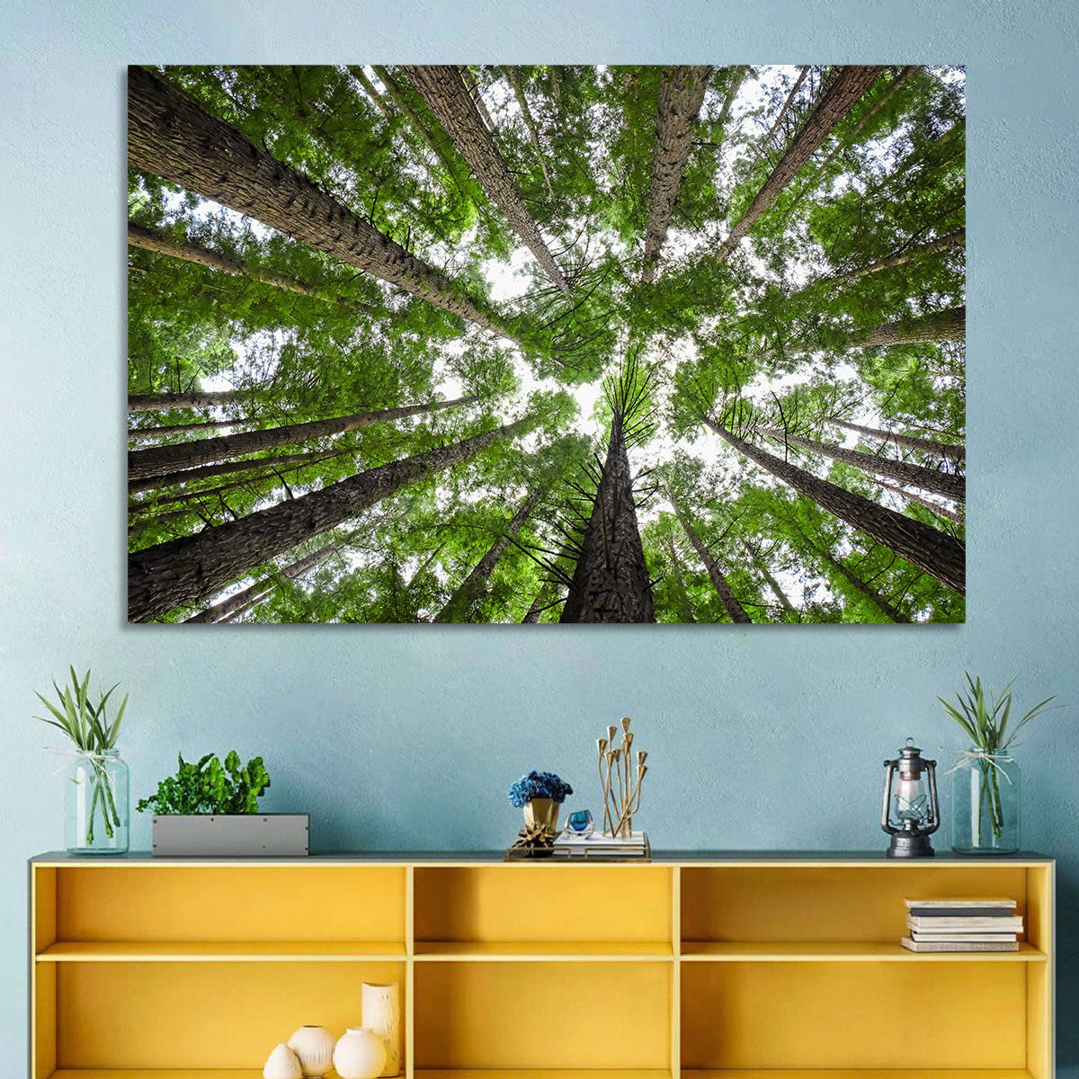 Redwood Forest Canopy Wall Art