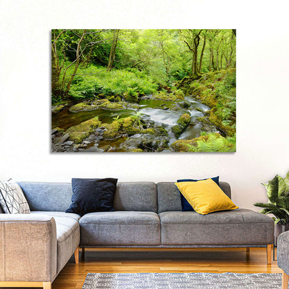 Mossy Stream Through Forest Wall Art