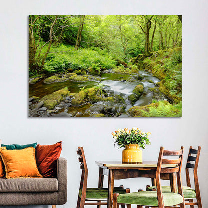 Mossy Stream Through Forest Wall Art