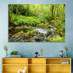 Mossy Stream Through Forest Wall Art