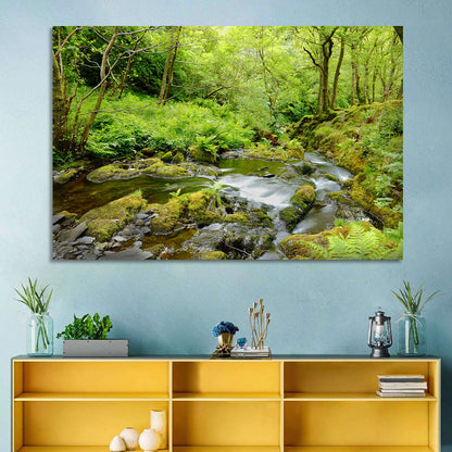 Mossy Stream Through Forest Wall Art