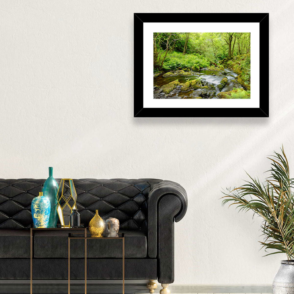 Mossy Stream Through Forest Wall Art