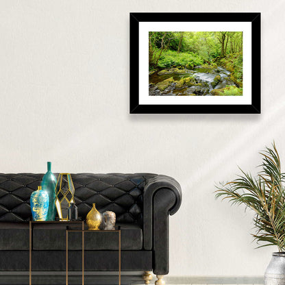 Mossy Stream Through Forest Wall Art