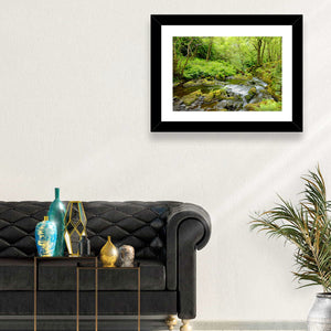 Forest Stream Wall Art