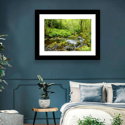 Mossy Stream Through Forest Wall Art