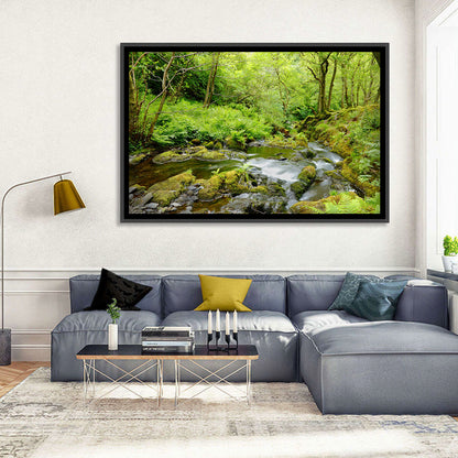 Mossy Stream Through Forest Wall Art