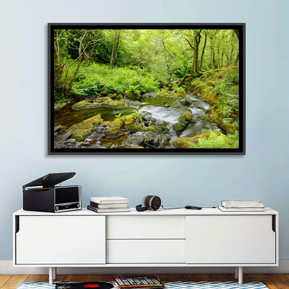 Mossy Stream Through Forest Wall Art