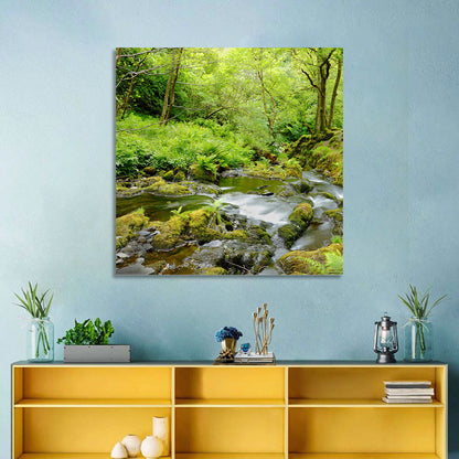 Mossy Stream Through Forest Wall Art