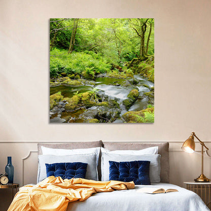 Mossy Stream Through Forest Wall Art