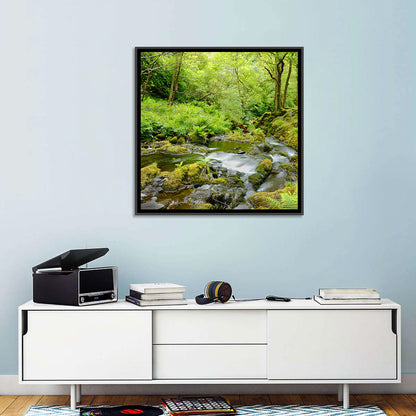 Mossy Stream Through Forest Wall Art