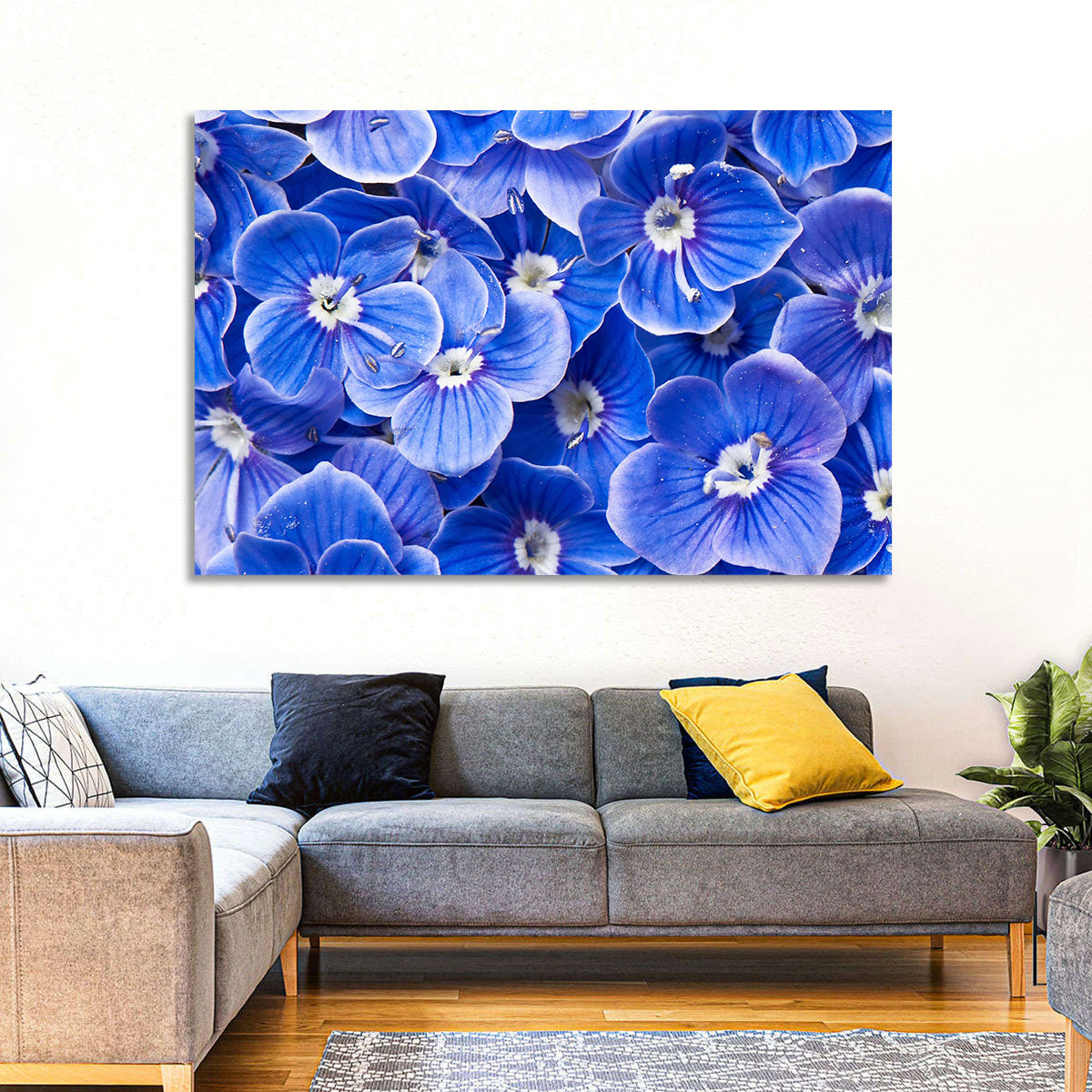 Blue Wildflower Close-up Wall Art in a room, landscape