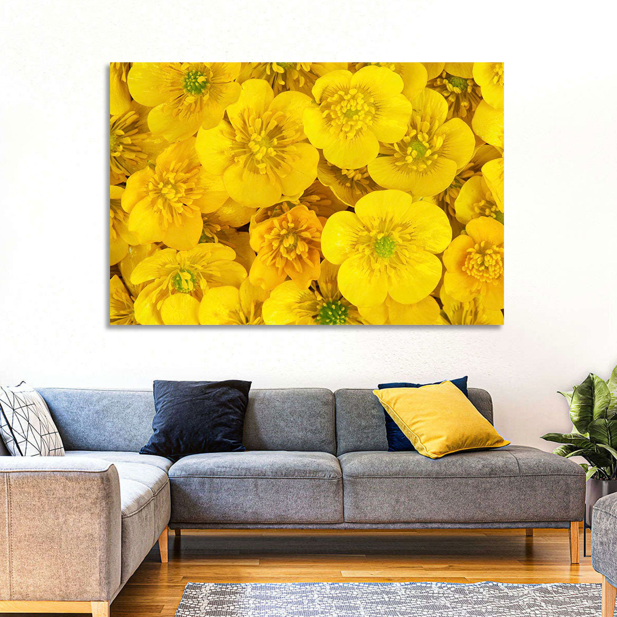 Yellow Buttercup Close-up Wall Art in a room, landscape