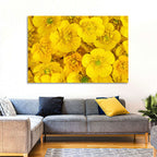Yellow Buttercup Close-up Wall Art