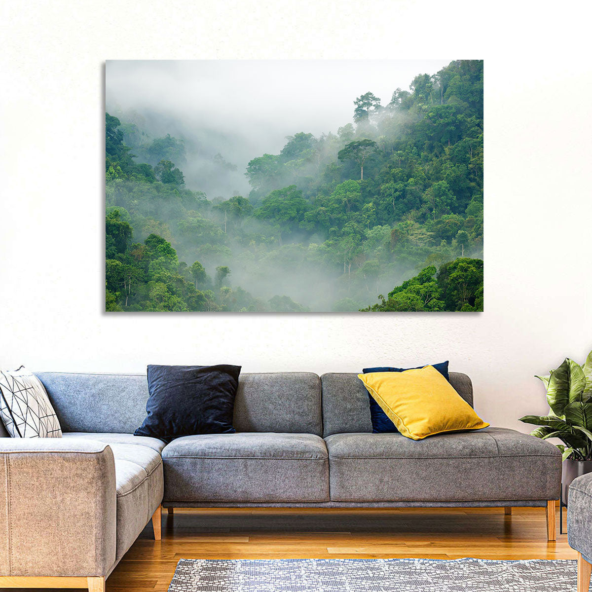 Misty Rainforest Morning Wall Art in a room, landscape