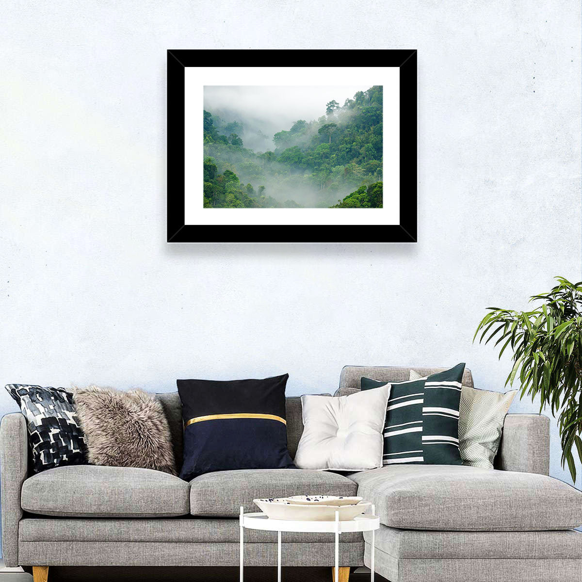 Misty Rainforest Morning Wall Art in a room, landscape
