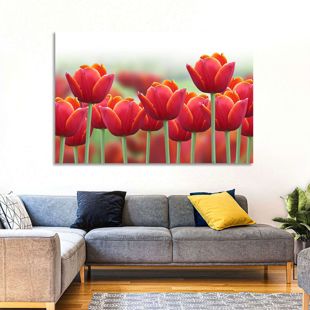 Red Tulips with Yellow Tips Wall Art