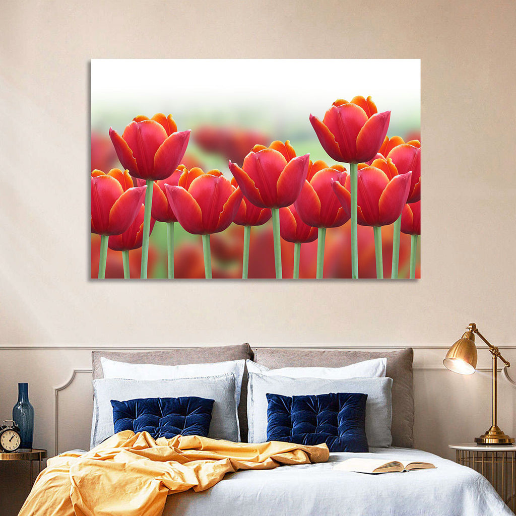 Red Tulips with Yellow Tips Wall Art