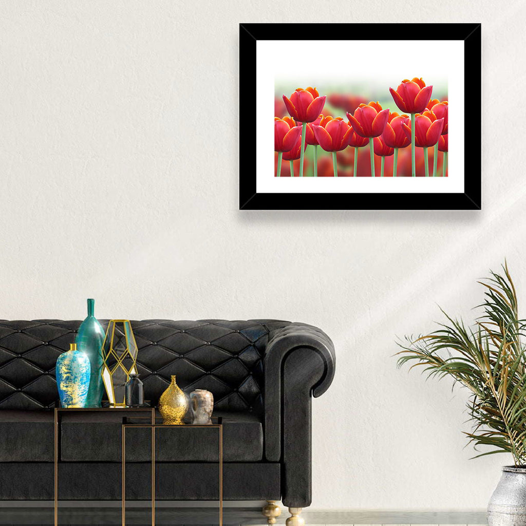 Red Tulips with Yellow Tips Wall Art