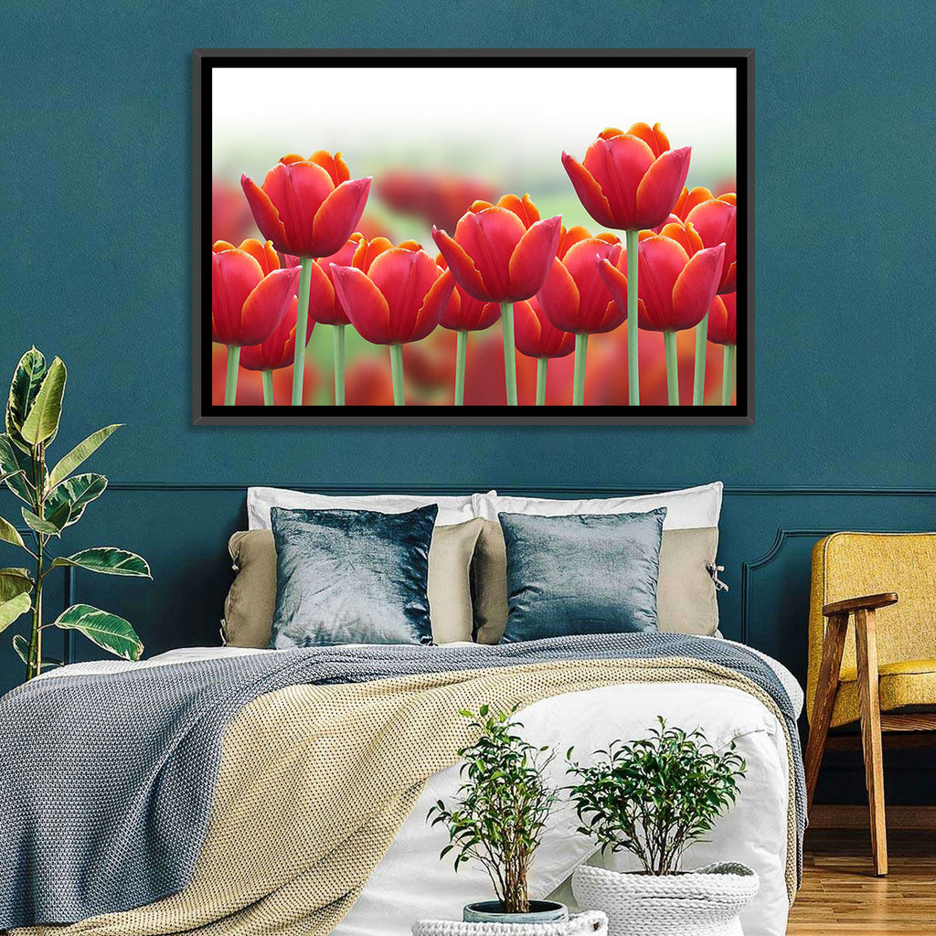 Red Tulips with Yellow Tips Wall Art