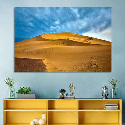 Altyn Emel Desert Wall Art