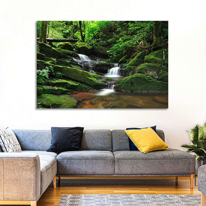 Mossy Rainforest Stream Wall Art