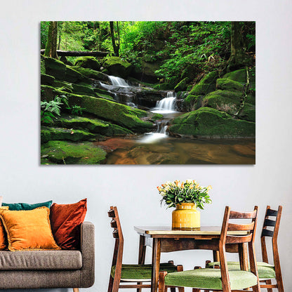 Mossy Rainforest Stream Wall Art
