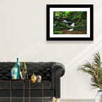 Mossy Rainforest Stream Wall Art
