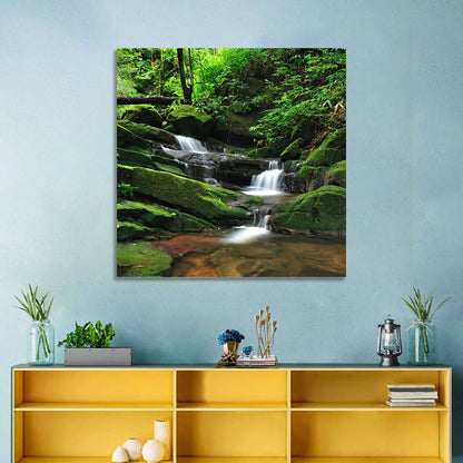 Mossy Rainforest Stream Wall Art