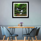 Mossy Rainforest Stream Wall Art