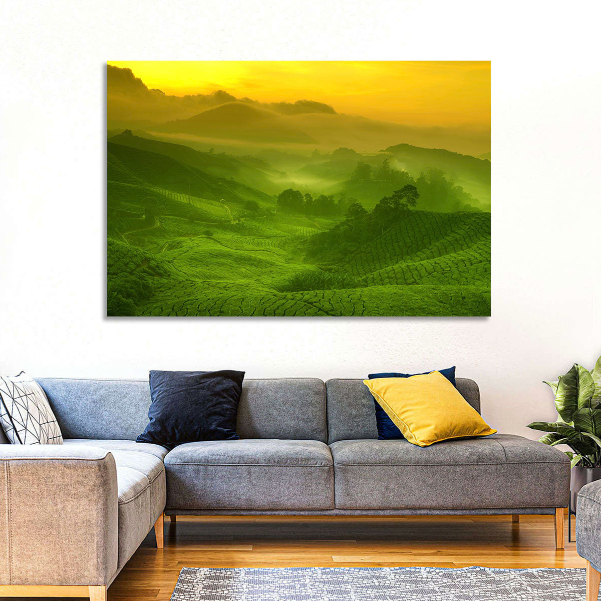 Sunlit Tea Plantation Hills Wall Art in a room, landscape