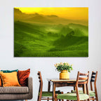 Sunlit Tea Plantation Hills Wall Art