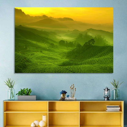 Sunlit Tea Plantation Hills Wall Art