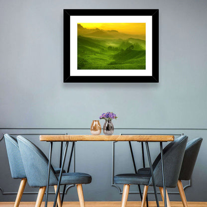 Sunlit Tea Plantation Hills Wall Art