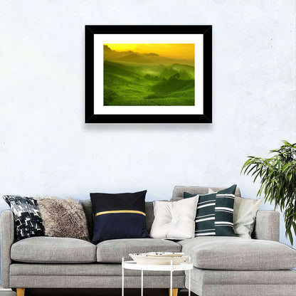 Sunlit Tea Plantation Hills Wall Art