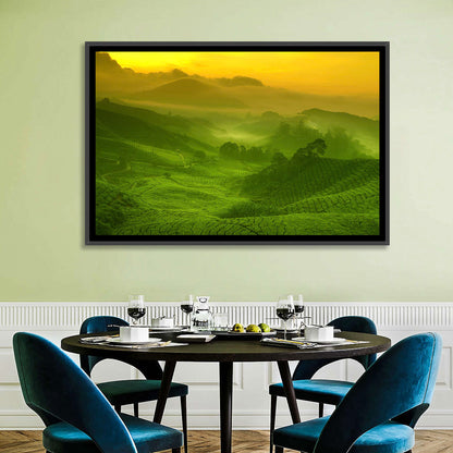 Sunlit Tea Plantation Hills Wall Art